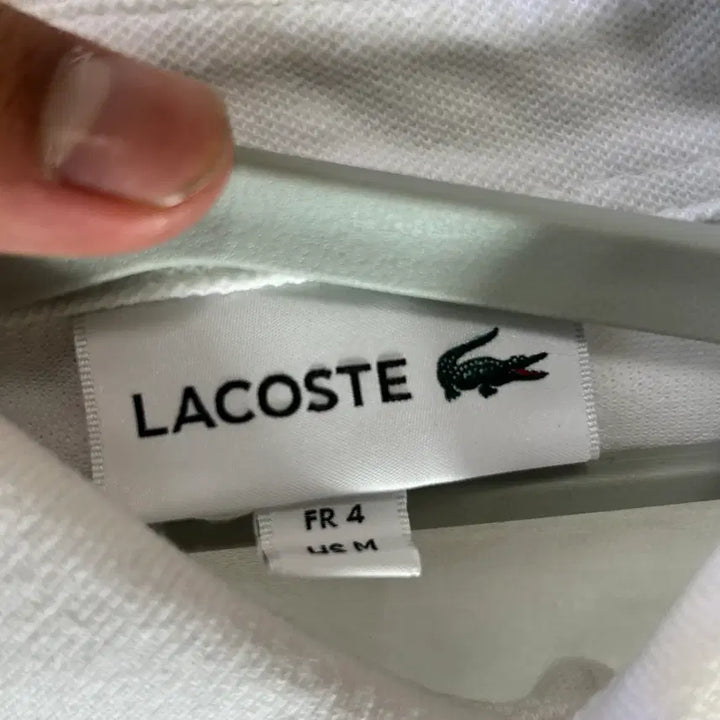 [SOLD OUT] 라코스테 카라티 반팔 카라 국내 100