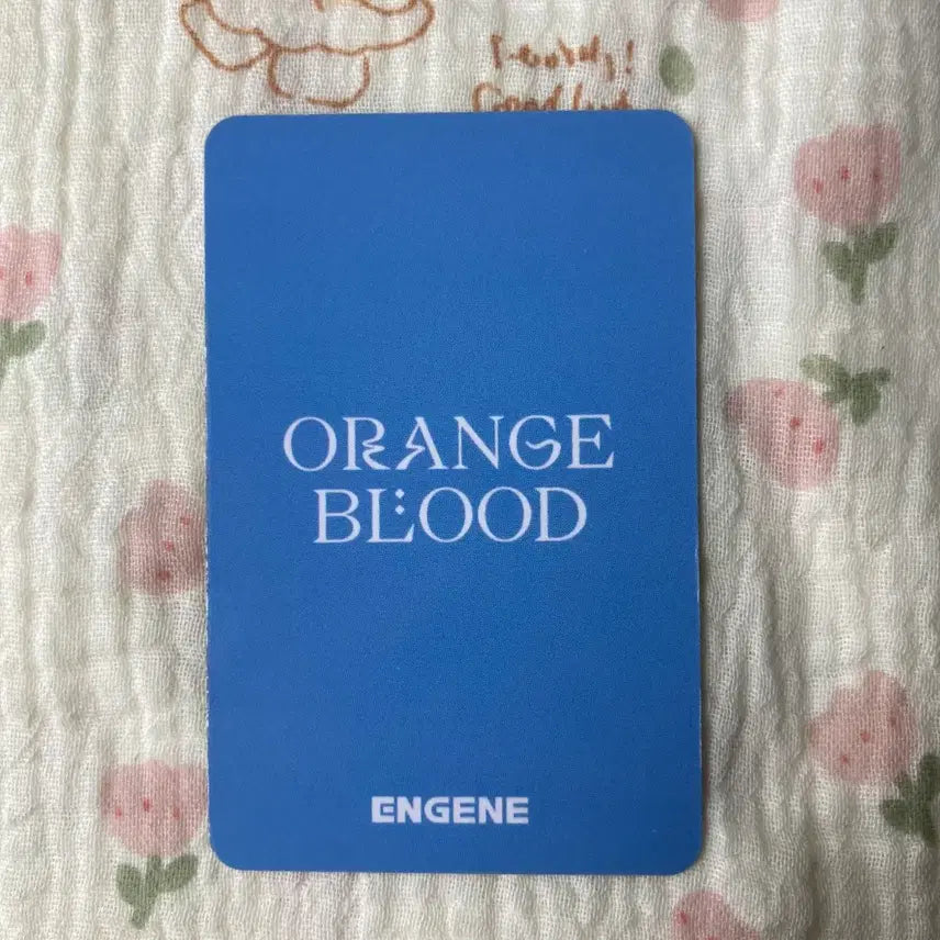 [BUNJANG] ENHYPEN Sunghoon ORANGE BLOOD Photocard / 엔하이픈 박성훈 포카 ORANGE BLOOD 포토카드