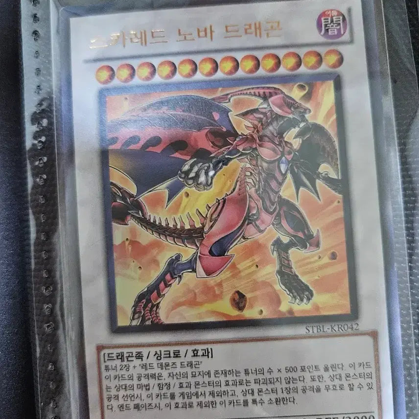 [BUNJANG] Scarlet Nova Dragon / 스카레드 노바 드래곤