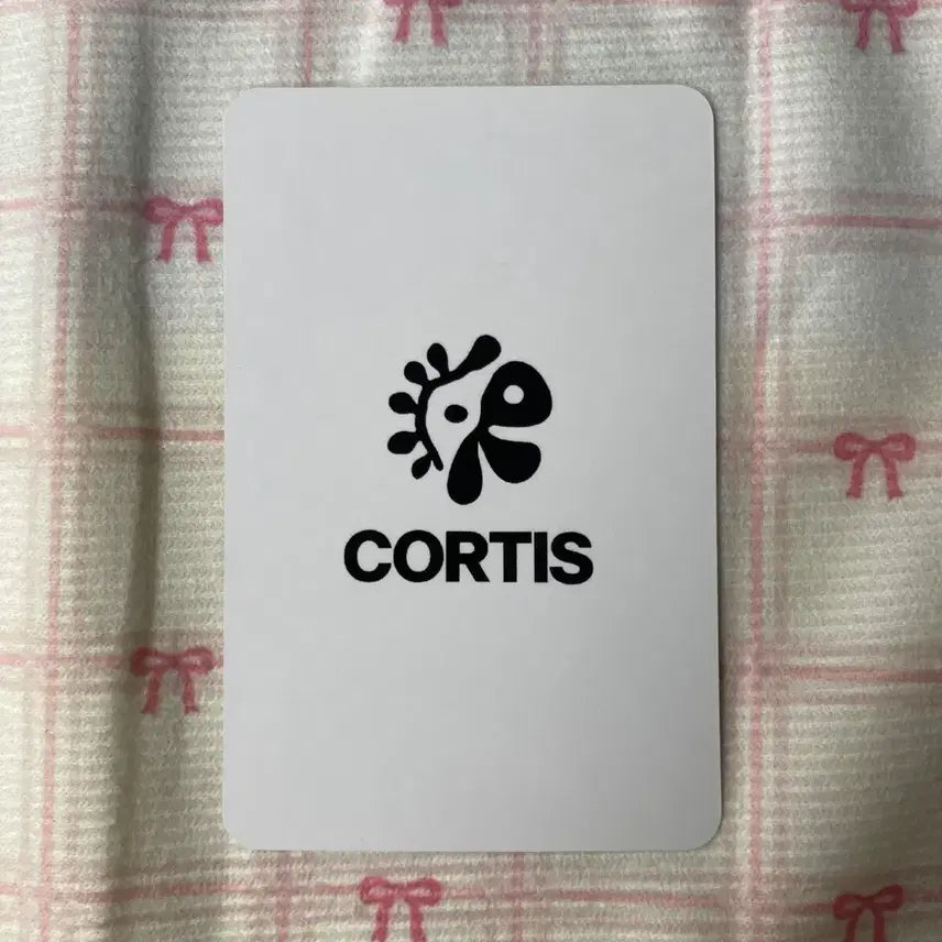 [BUNJANG] Cortis Kim Ju Hoon Japanese Lucky Draw Photocard / cortis 코르티스 포카 포토카드 김주훈 일본 럭키 카드