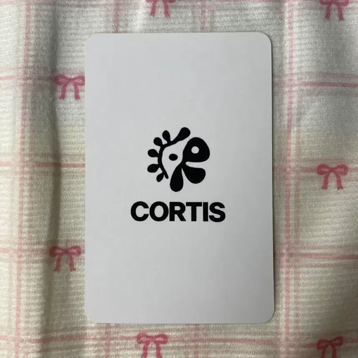 [BUNJANG] Cortis Kim Ju Hoon Japanese Lucky Draw Photocard / cortis 코르티스 포카 포토카드 김주훈 일본 럭키 카드