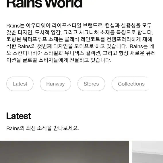 [BUNJANG] RAINS Blue Waterproof Backpack / RAINS 레인스 블루 방수 백팩