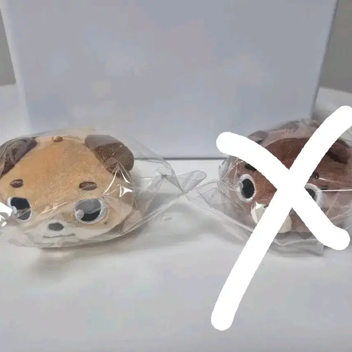 [BUNJANG] Day6 Denimalz Don Plush / 데이식스 데니멀즈 플러시 라잉 - 돈