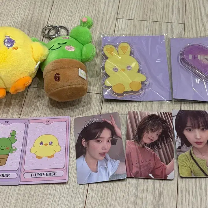 [BUNJANG] IU 6th Fan Concert Goods Bundle Set / 아이유 6기 팬콘서트 팬콘 굿즈 포카 그립톡 키링 토아리 삐삐 다육이