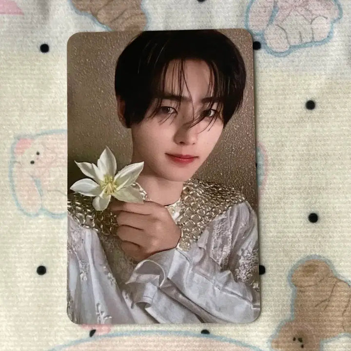 [BUNJANG] ENHYPEN Park Sunghoon ORANGE BLOOD Photocard / 박성훈 엔하이픈 포토카드 ORANGE BLOOD  포카