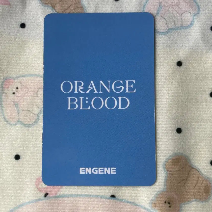 [BUNJANG] ENHYPEN Park Sunghoon ORANGE BLOOD Photocard / 박성훈 엔하이픈 포토카드 ORANGE BLOOD  포카