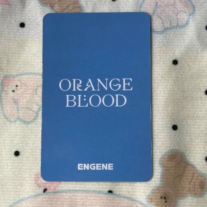 [BUNJANG] ENHYPEN Park Sunghoon ORANGE BLOOD Photocard / 박성훈 엔하이픈 포토카드 ORANGE BLOOD  포카