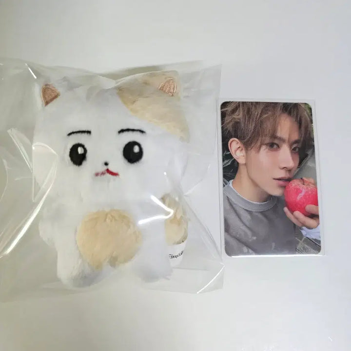 [SOLD OUT] [evan 희승 한국뵤 인형] 포카 응원봉 엔하이픈