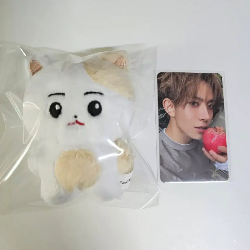 [SOLD OUT] [evan 희승 한국뵤 인형] 포카 응원봉 엔하이픈