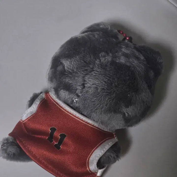 [SOLD OUT] 슬램덩크 서태웅 인형 + 쇼호쿠 유니폼 (비공식굿즈)