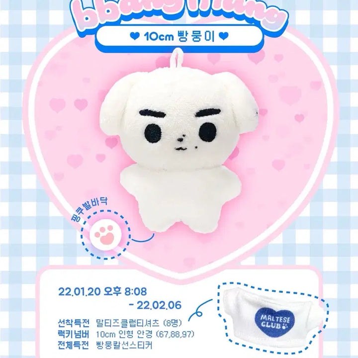 [SOLD OUT] 더보이즈 영훈 인형 빵뭉이