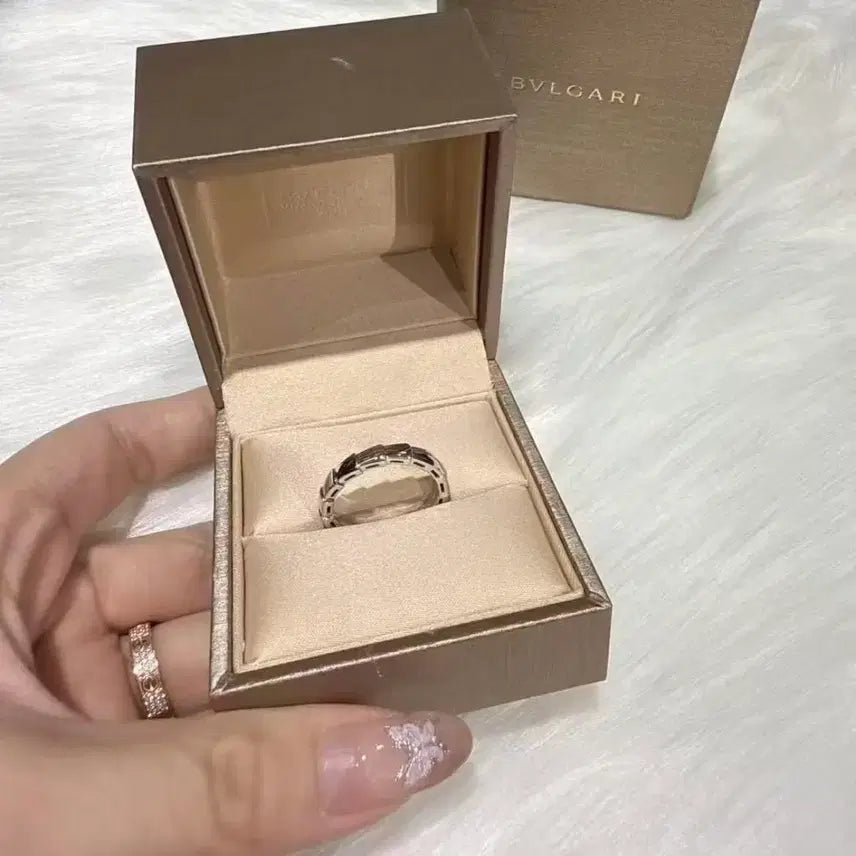 [BUNJANG] Bulgari Serpenti Silver Ring / 불가리 세르펜티 반지  실버