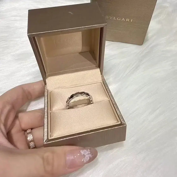 [BUNJANG] Bulgari Serpenti Silver Ring / 불가리 세르펜티 반지  실버