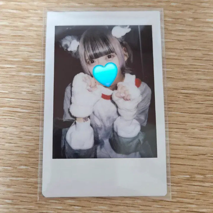 [BUNJANG] Hayate Cat&