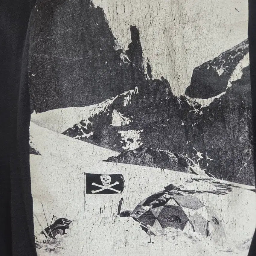 [BUNJANG] The North Face Conrad Flag T-Shirt / 노스페이스 콘래드 플래그 반팔티