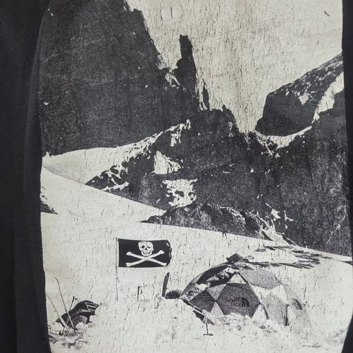 [BUNJANG] The North Face Conrad Flag T-Shirt / 노스페이스 콘래드 플래그 반팔티