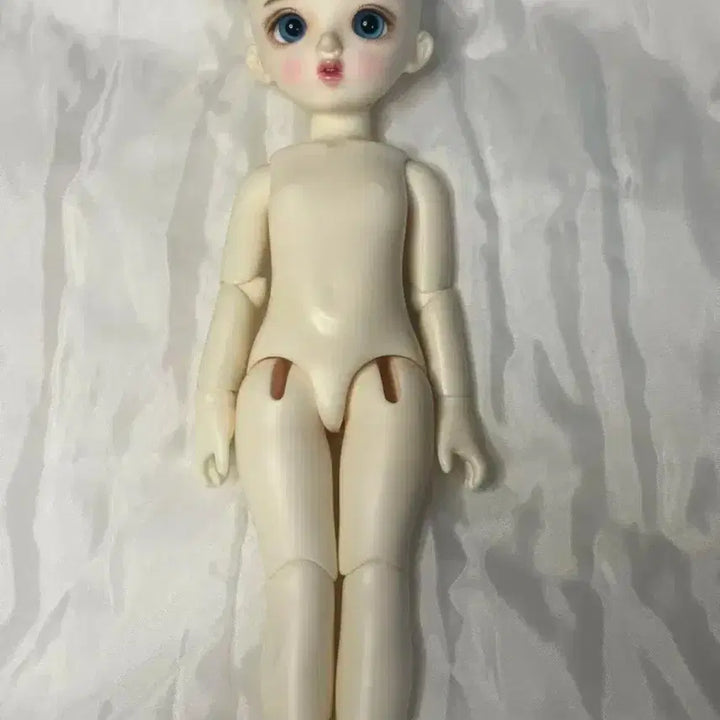 [SOLD OUT] 찐막 가격내림 더이상X) 구체관절인형usd 미야돌 포코