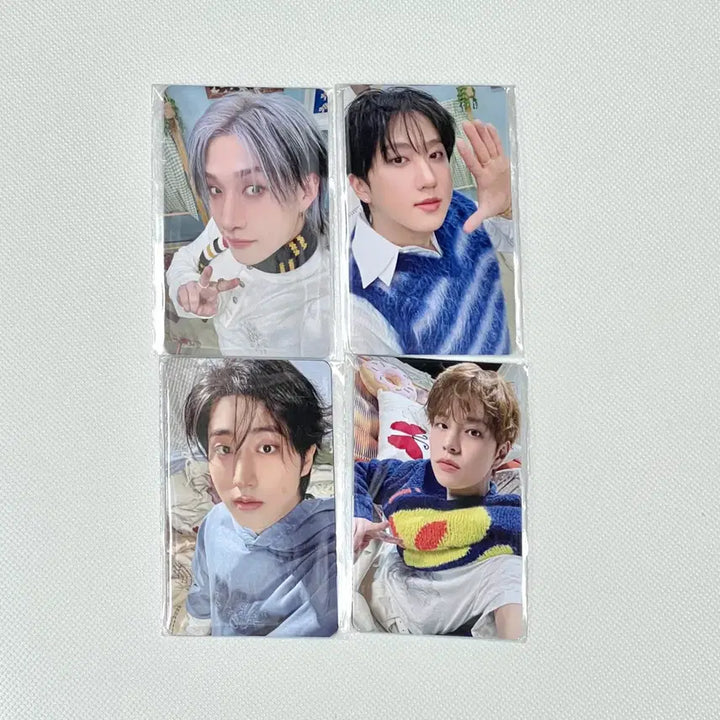 [BUNJANG] Stray Kids 6th Fanmeeting MD Photocard Bundle Set / 미개봉 수수료포함) 스트레이키즈 스키즈 6기 팬미팅 엠디 포카 온라인