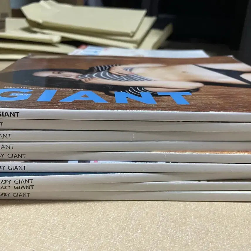 [BUNJANG] GIANT Magazine Bundle Set (2022-2024) / GIANT 잡지 다수 일괄 (2022-2024) 남성잡지