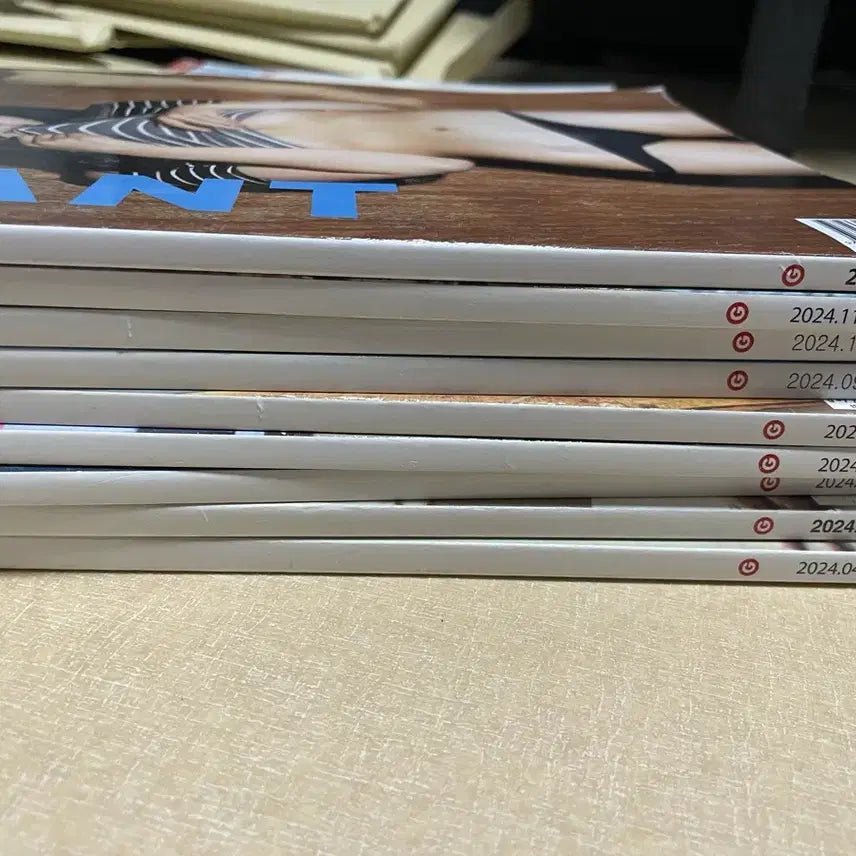 [BUNJANG] GIANT Magazine Bundle Set (2022-2024) / GIANT 잡지 다수 일괄 (2022-2024) 남성잡지