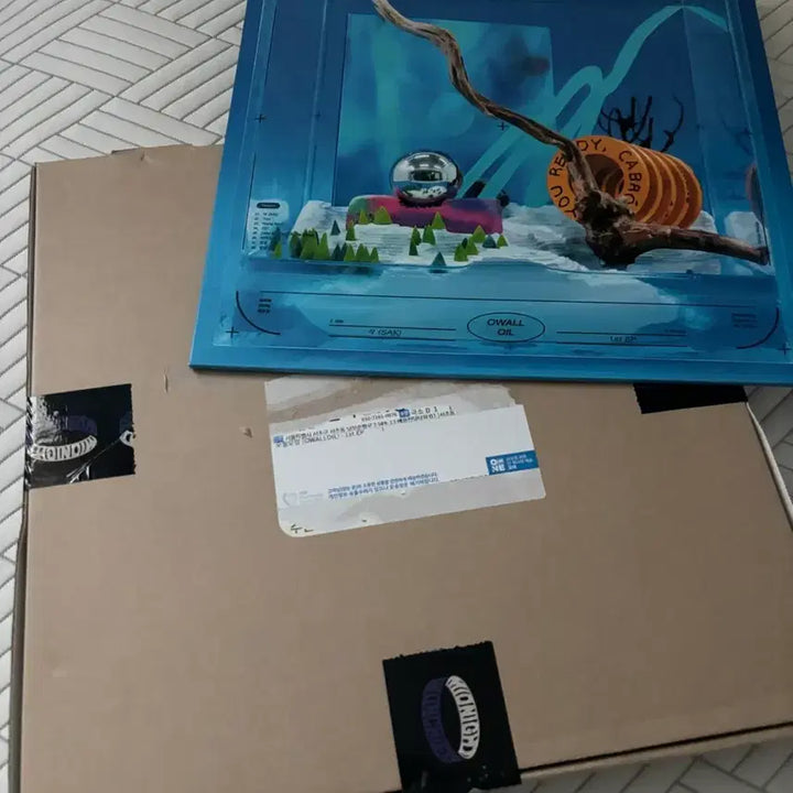 [BUNJANG] Sak LP (Sealed) / 오월오일 sak lp 미개봉 양도