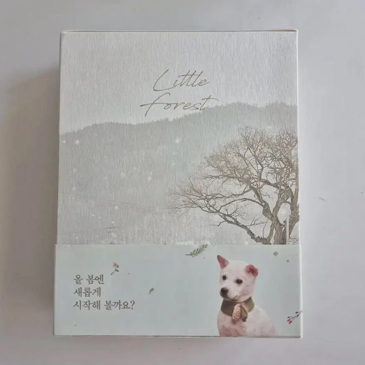 [BUNJANG] Little Forest Blu-ray / 리틀포레스트 블루레이
