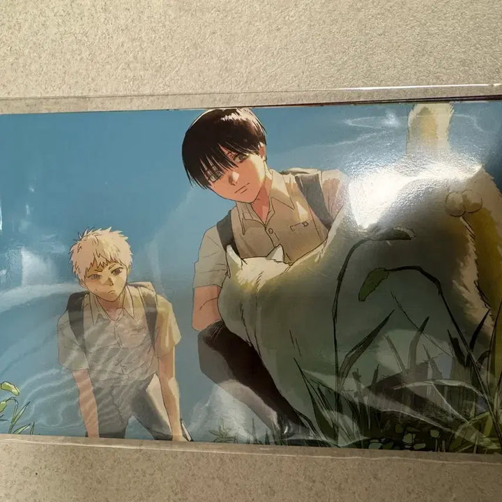 [BUNJANG] Hikaru ga Shinda Natsu Postcard / 히카루가 죽은 여름 히죽여 엽서