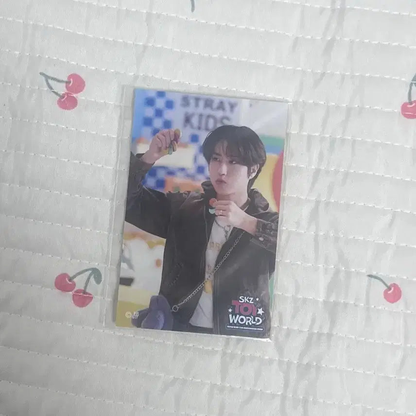 [SOLD OUT] Stray kids 한 스티커 toy world