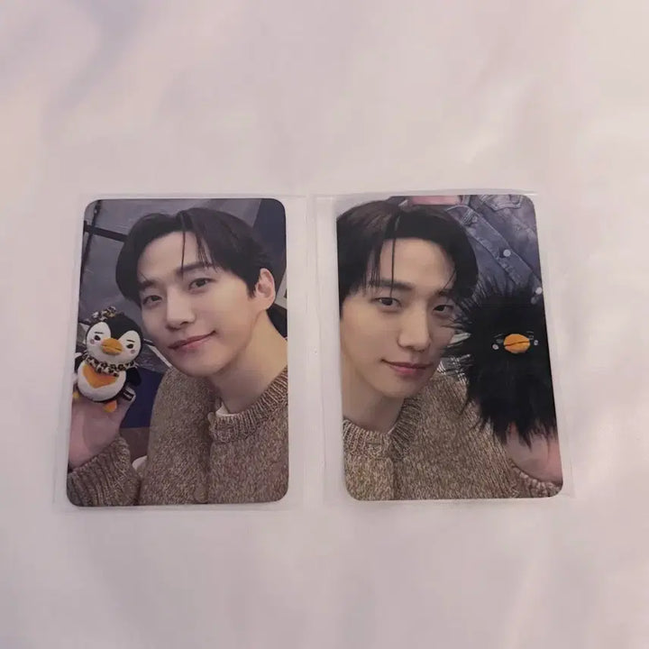[SOLD OUT] 이준호 펭펭이 팝업 온라인 특전 포카 포토카드 2장 일괄