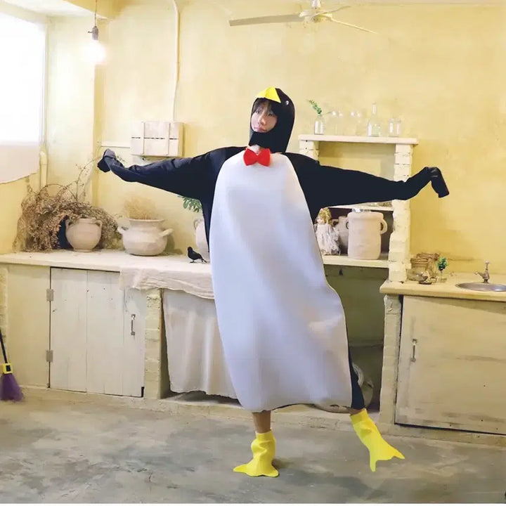 [BUNJANG] Penguin Graduation Photo Costume Rental / (최저가) 펭귄 졸업사진 대여 (5.19부터 가능)