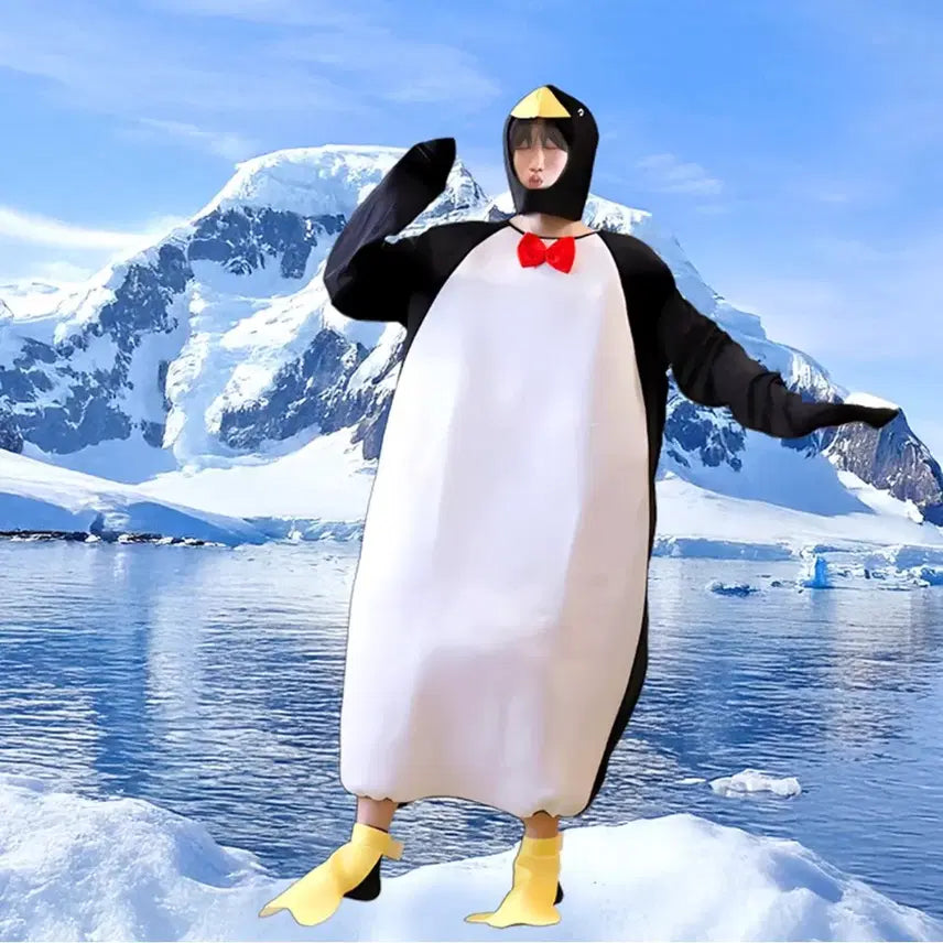 [BUNJANG] Penguin Graduation Photo Costume Rental / (최저가) 펭귄 졸업사진 대여 (5.19부터 가능)
