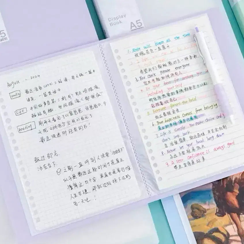 [BUNJANG] A5 Binder 100 Pocket Pages Pink / A5 바인더 100매 포켓 핑크