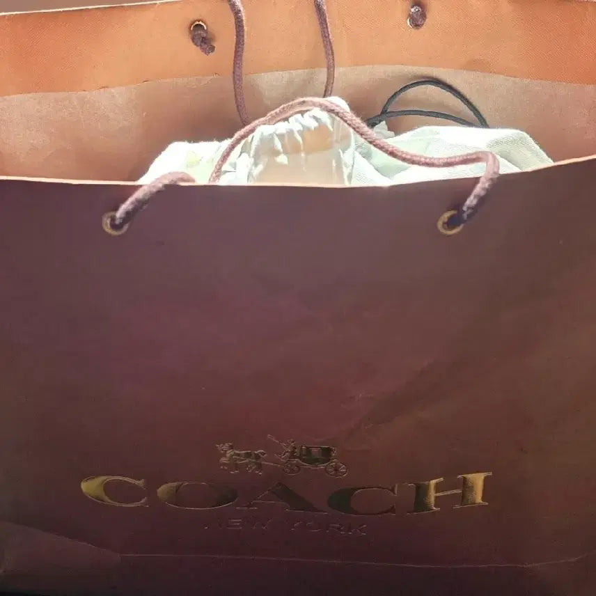 [BUNJANG] Coach 1941 Rogue Satchel 58023 Handbag / 코치 1941 프리미엄 라인 Rogue Satchel58023(면세점구입