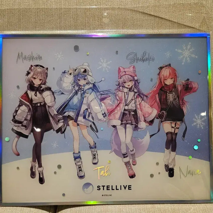 [BUNJANG] Stellive 2025 AGF Acrylic Frame / 5/22까지 할인 스텔라이브 2025 agf 아크릴 액자 팝니다.