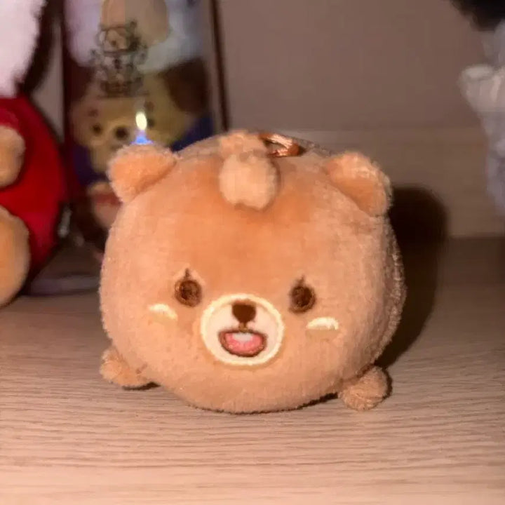 [SOLD OUT] 데이식스 성진 인형 데니멀즈 쁘띠멀즈 사족보행 인형 방이
