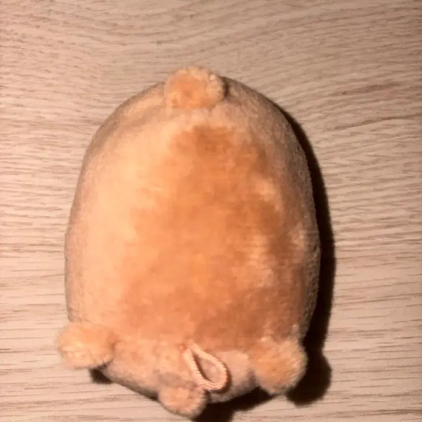 [SOLD OUT] 데이식스 성진 인형 데니멀즈 쁘띠멀즈 사족보행 인형 방이