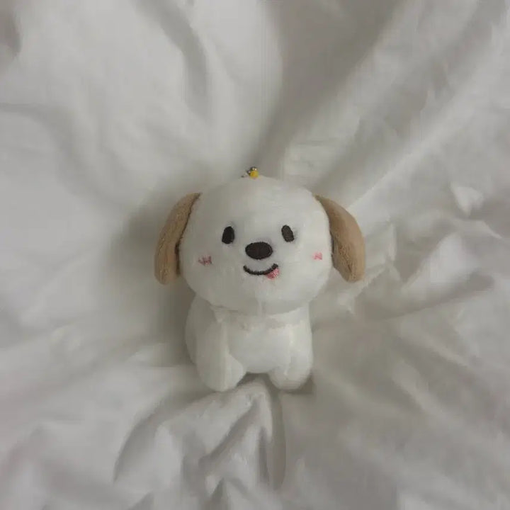 [SOLD OUT] 라이즈 앤톤 멍룡이 1기