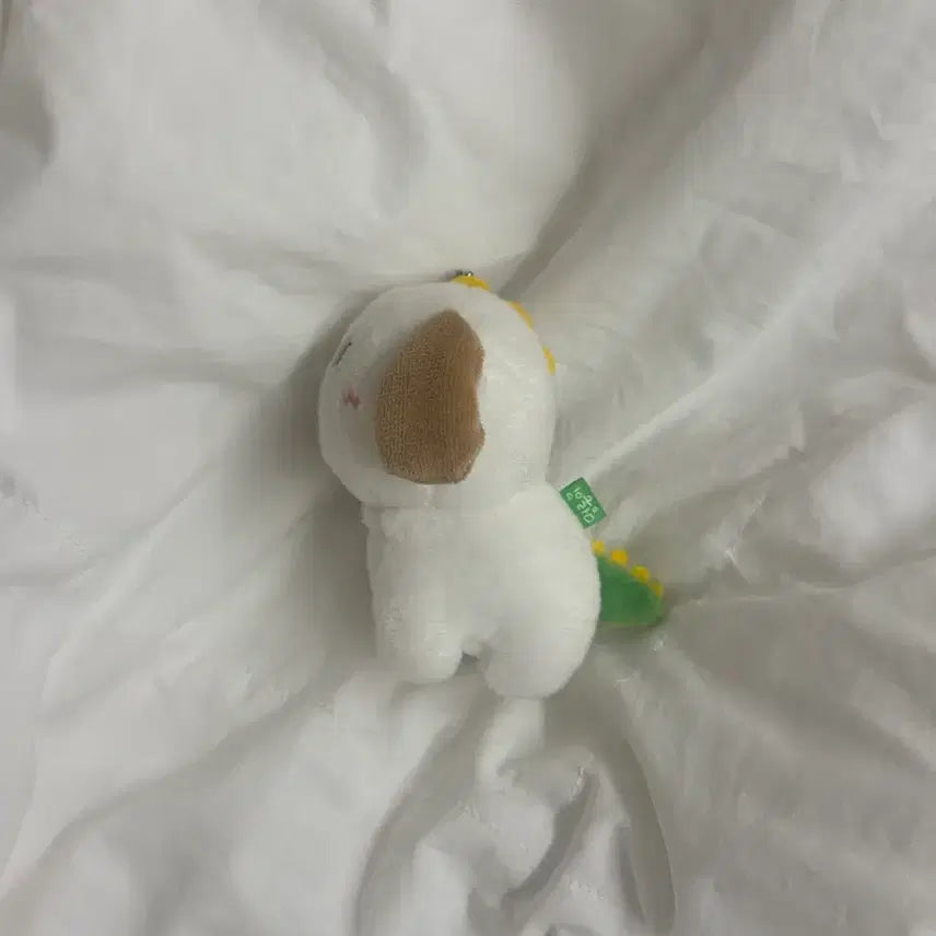 [SOLD OUT] 라이즈 앤톤 멍룡이 1기