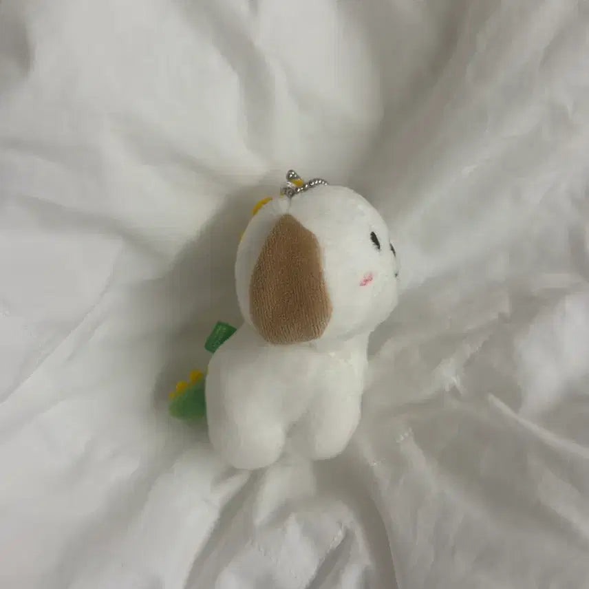 [SOLD OUT] 라이즈 앤톤 멍룡이 1기