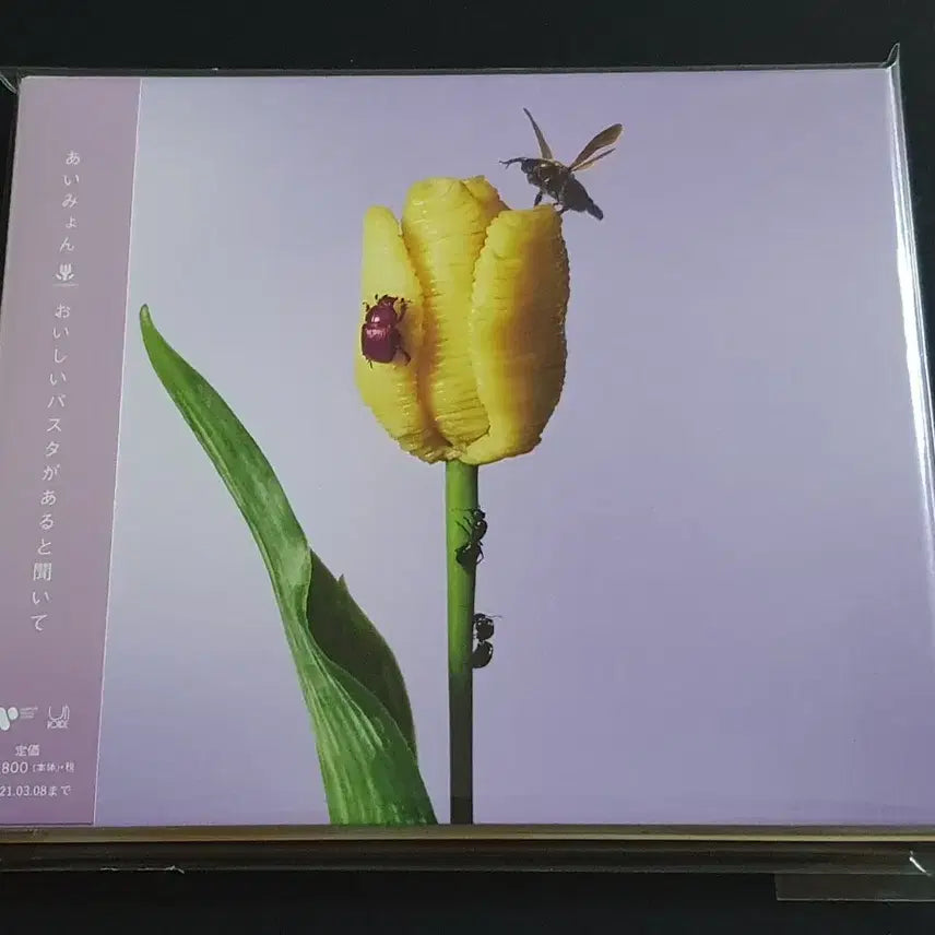 [BUNJANG] Aimyon 3rd Album: Oishii Pasta ga Aru to Kiite / 아이묭 3집 앨범 맛있는 파스타가 있다길래 음반
