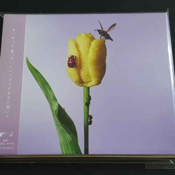 [BUNJANG] Aimyon 3rd Album: Oishii Pasta ga Aru to Kiite / 아이묭 3집 앨범 맛있는 파스타가 있다길래 음반