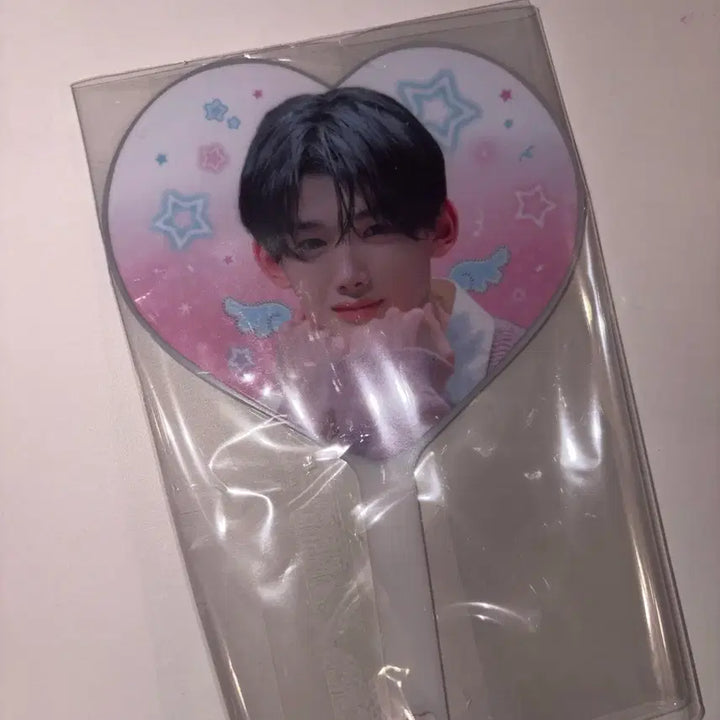[BUNJANG] Jo Mini Uchiwa / 죠 미니 우치와