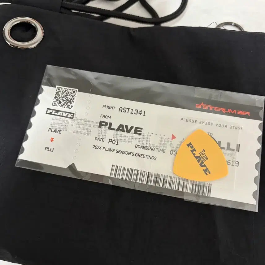 [SOLD OUT] 플레이브 2024시그 짐색