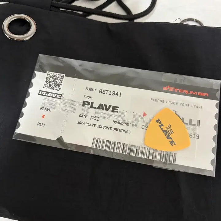 [SOLD OUT] 플레이브 2024시그 짐색