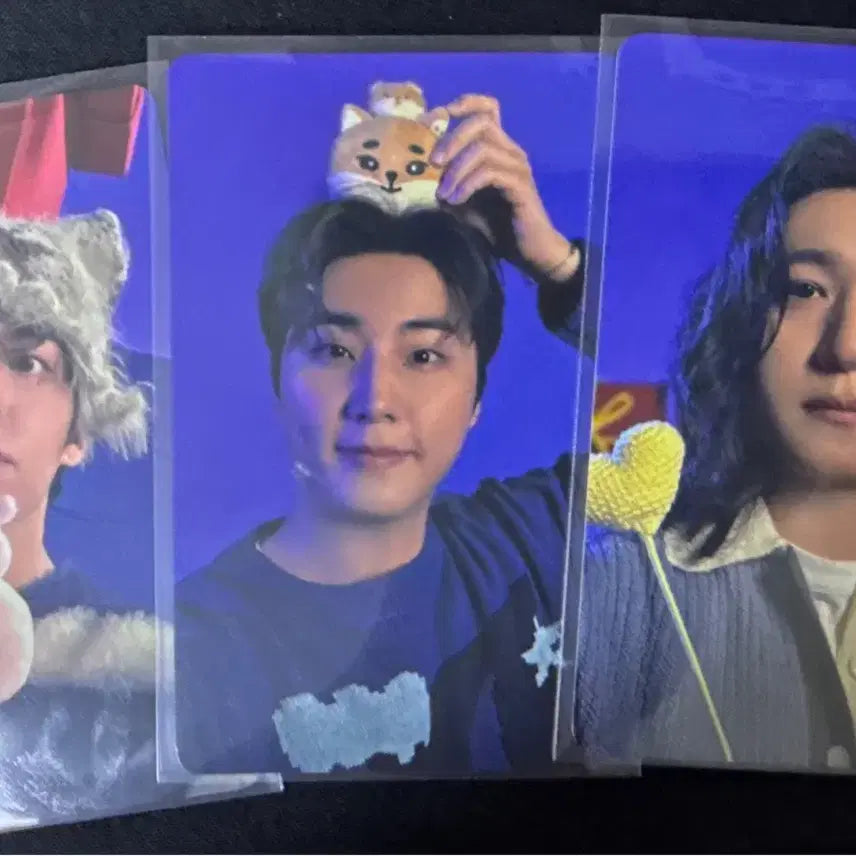 [BUNJANG] Day6 Online Concert Photocard Bundle Set / 데이식스 클콘 온라인 5만포카 일괄 판매