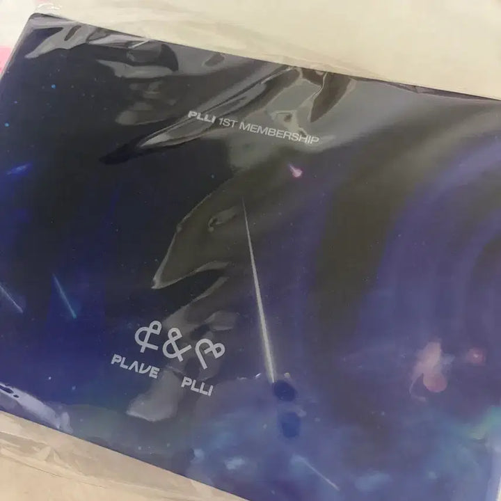 [SOLD OUT] 플레이브 플리1기 바인더 미개봉