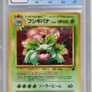 [BUNJANG] Pokemon Card 1999 Japanese Venusaur CGC 8.5 / 포켓몬 카드 1999 일판 이상해꽃 CGC 8.5