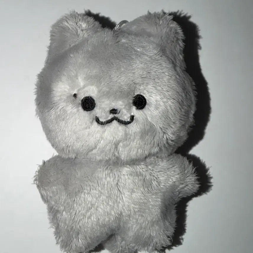 [BUNJANG] The Boyz Juyeon Junyang-i Doll / 더보이즈 주연 인형 쥬냥이2차