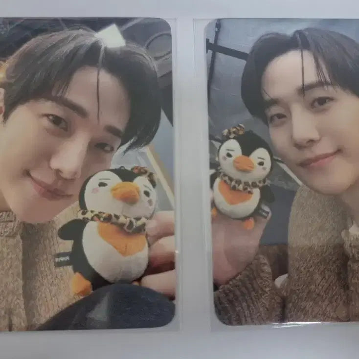[SOLD OUT] 이준호 펭펭 팝업 구매특전 포카 2종