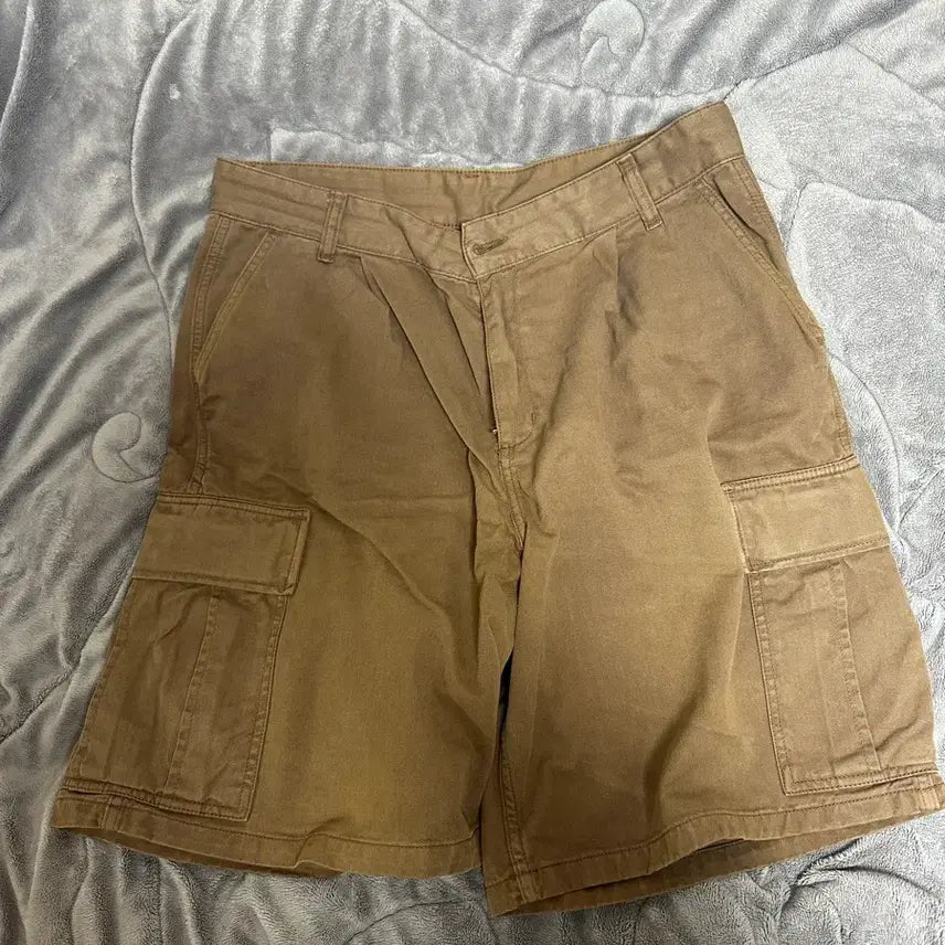 [BUNJANG] Carhartt WIP Cole Cargo Shorts / 칼하트wip 콜 카고 숏츠  모라가 32